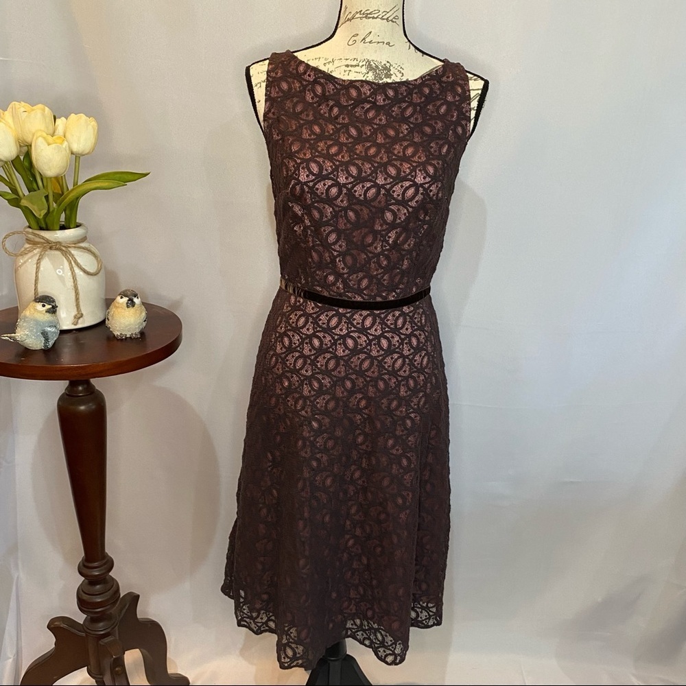 Jill Michelle Lace Sheer Dress Fitted Lined‎ Sophisticated Vintage Style